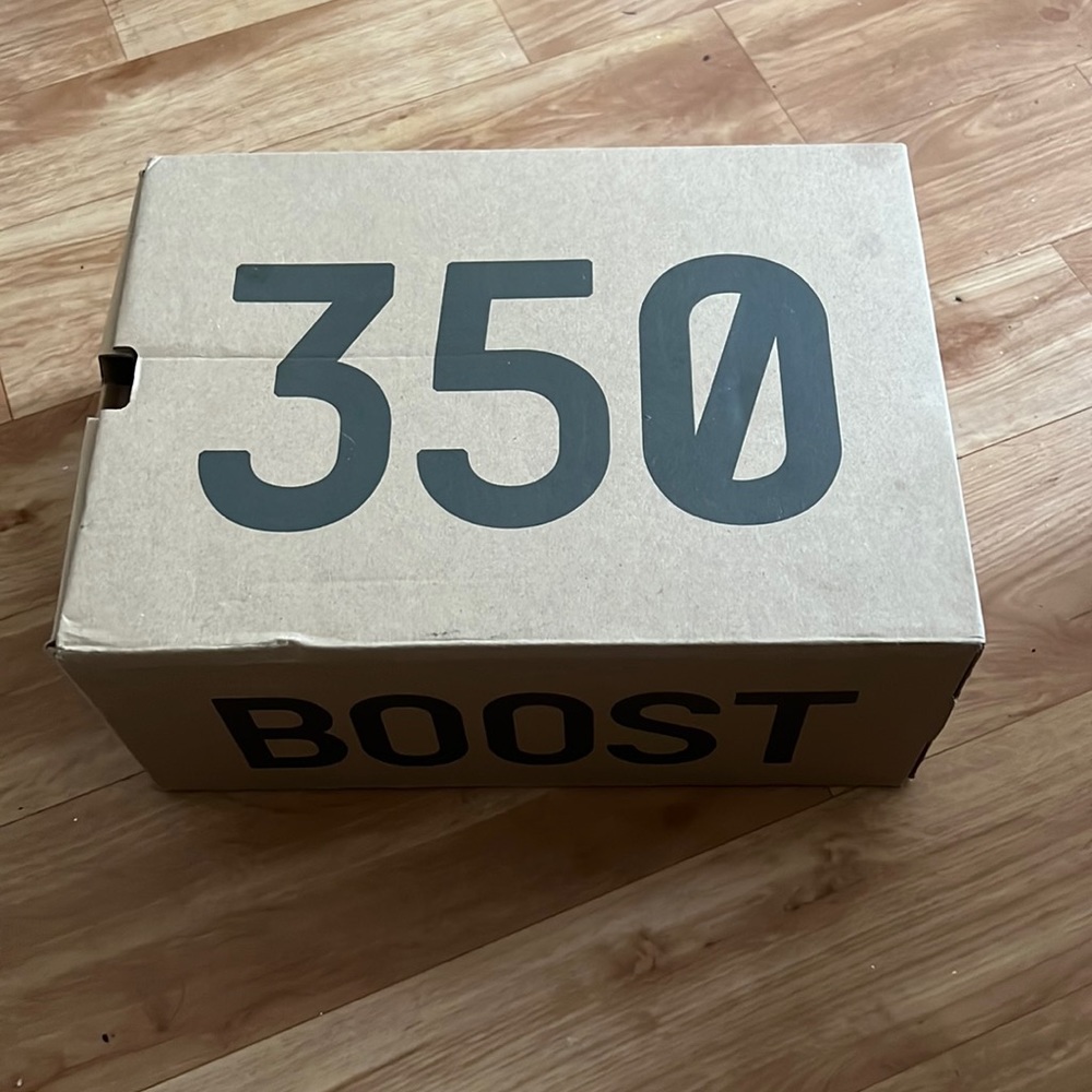 Yeezy boost 350 v2